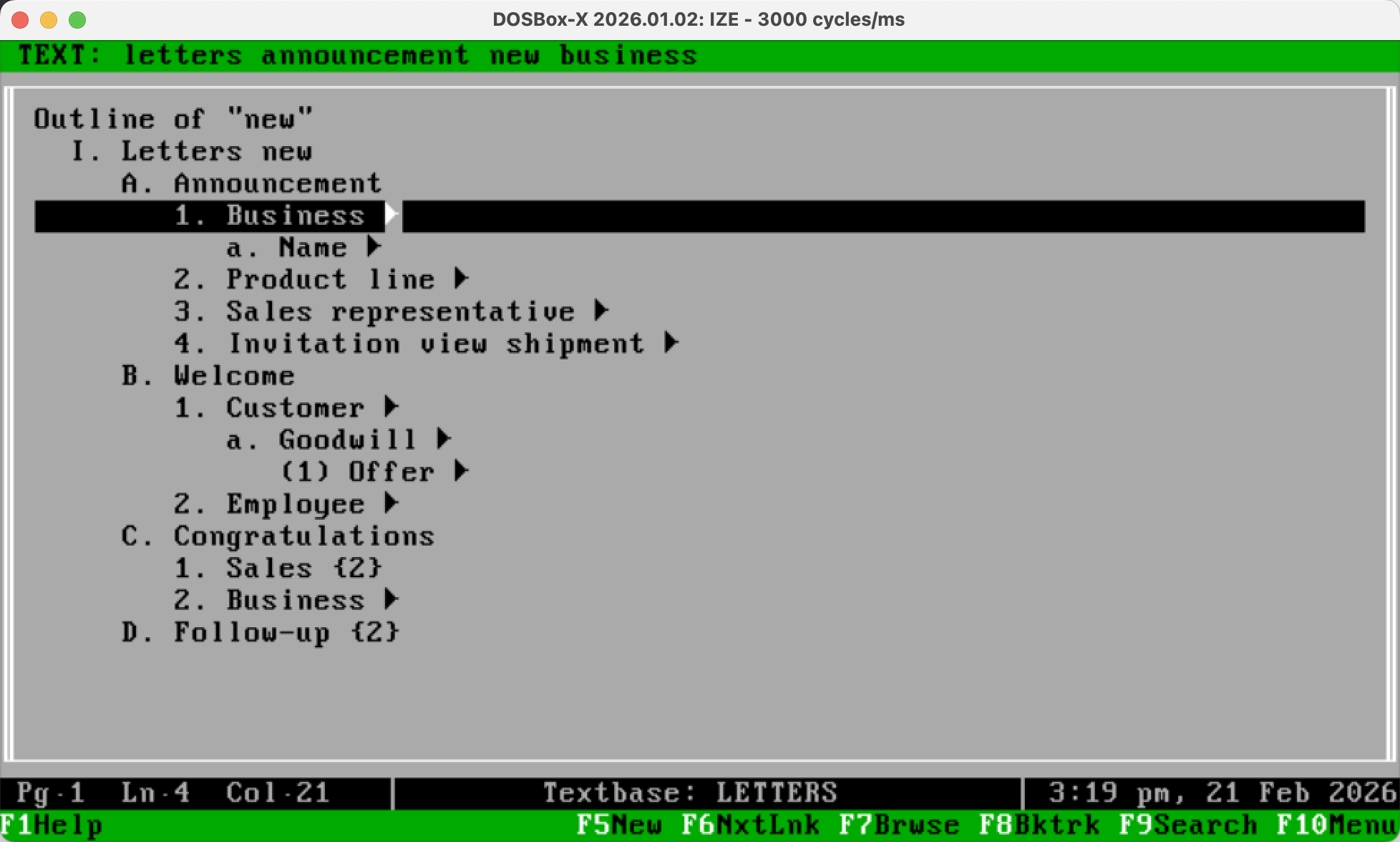 IZE screenshot